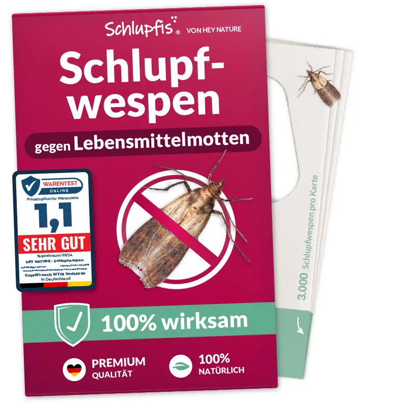 hey-nature-schlupfwespen-gegen-lebensmittelmotten image 1