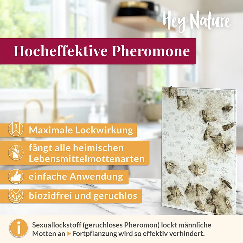 hey-nature-mottenfalle-gegen-lebensmittelmotten image 2