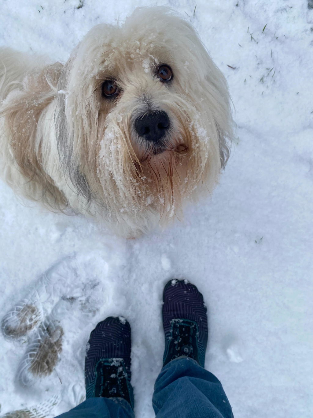 Bester Kauf diesen Winter