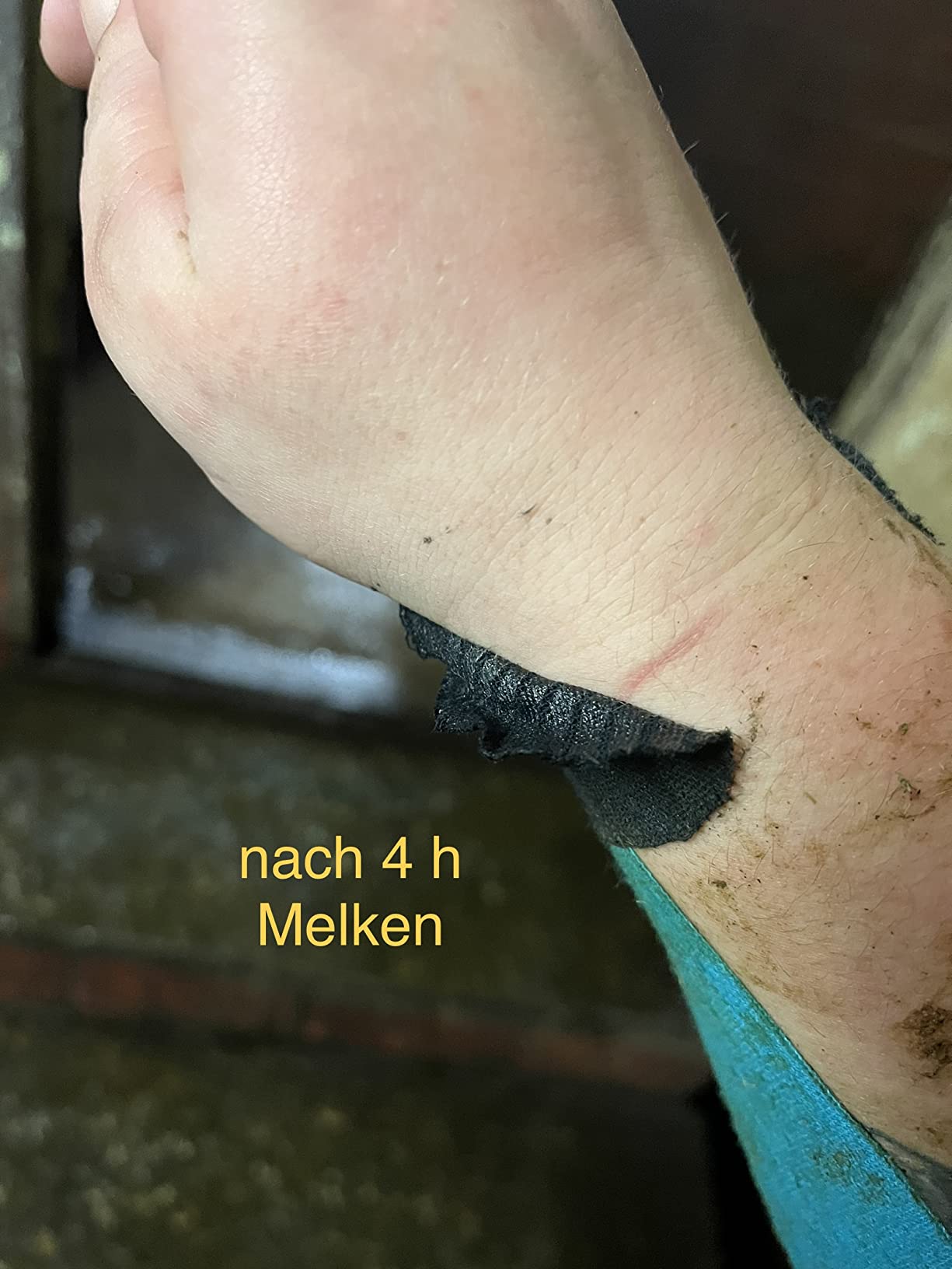 Auch für Anfänger geeignet