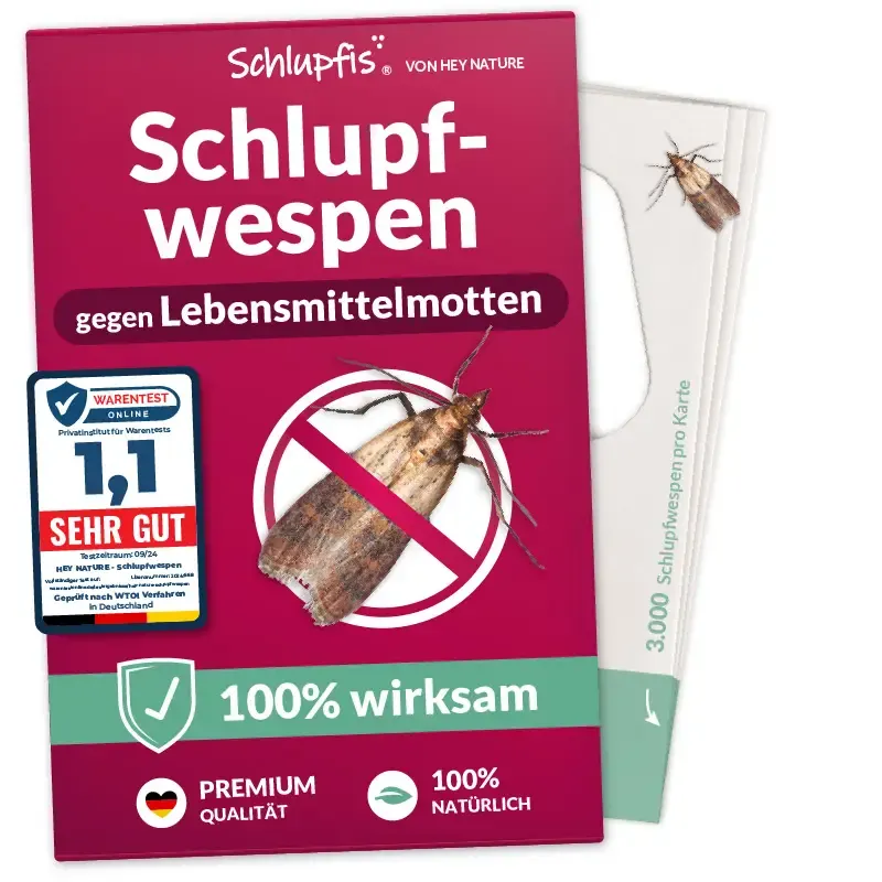 hey-nature-schlupfwespen-gegen-lebensmittelmotten image 1