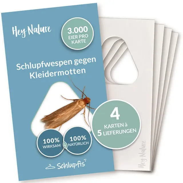 hey-nature-schlupfwespen-gegen-kleidermotten image 1
