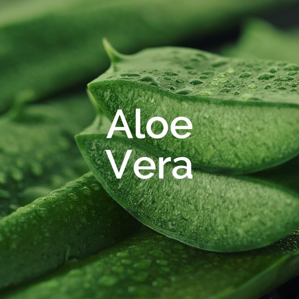 dr-scholl-s-expertcare-fu-maske-in-socken-feuchtigkeit-mit-aloe-vera image 7